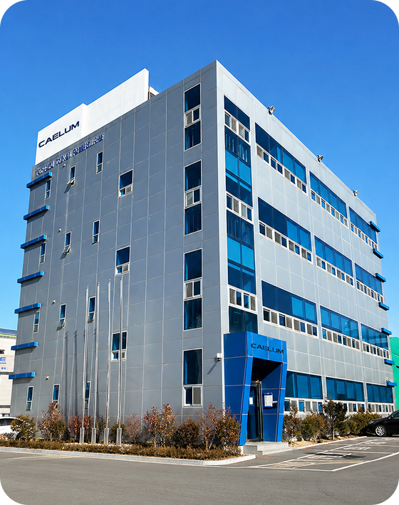 Caleum CEO Choi Yeon-ji